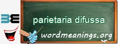 WordMeaning blackboard for parietaria difussa